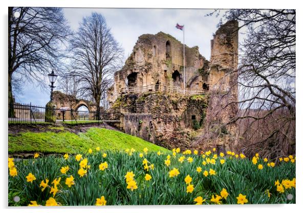 Knaresborough Castle Daffodils Acrylic by Tim Hill