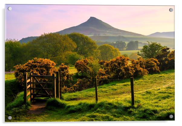 Roseberry Topping: North Yorkshire Gem Acrylic by Tim Hill
