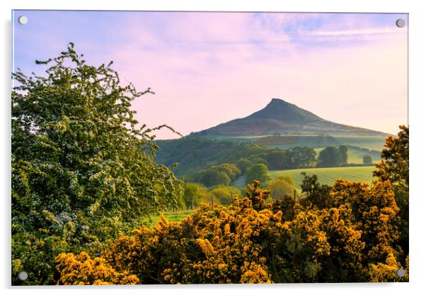 Roseberry Topping: Spring Landscape Acrylic by Tim Hill