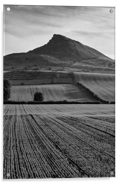 Roseberry Topping Black and White Acrylic by Tim Hill