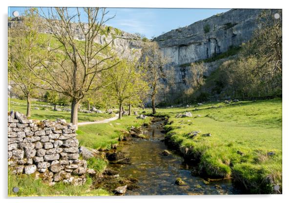 Malham Cove Photography: Yorkshire Dales Acrylic by Tim Hill
