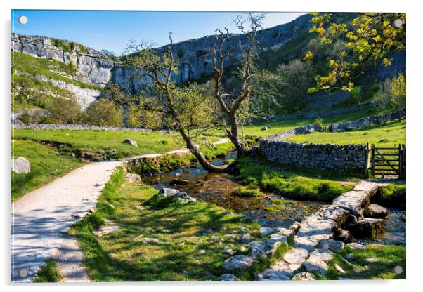 Iconic Yorkshire Dales Landscape: Malham Cove Acrylic by Tim Hill