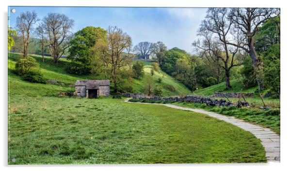 Path to Janet's Foss: Yorkshire Dales Acrylic by Tim Hill