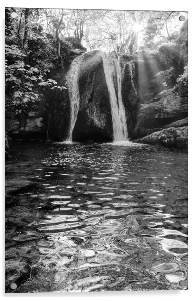 Janet's Foss Black and White Acrylic by Tim Hill