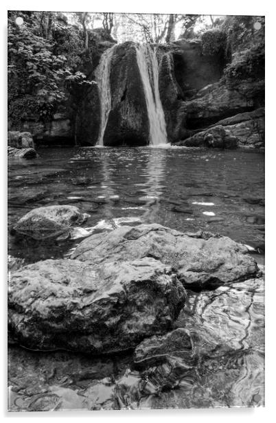 Janet's Foss Black and White Acrylic by Tim Hill