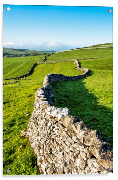Dry Stone Walls: Malham Yorkshire Dales Acrylic by Tim Hill