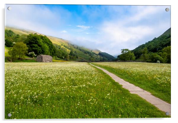 Into the Blue: Muker Wildflower Meadows Acrylic by Tim Hill