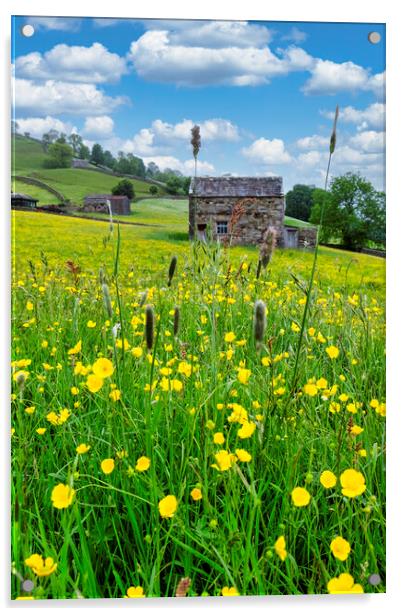 Summer Memories: Muker Wildflower Meadow Acrylic by Tim Hill