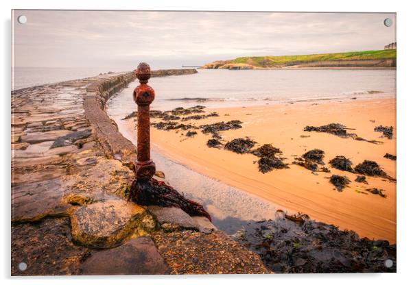 Cullercoats Acrylic by Tim Hill
