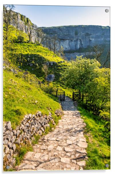 Malham Cove: Springtime in the Yorkshire Dales Acrylic by Tim Hill