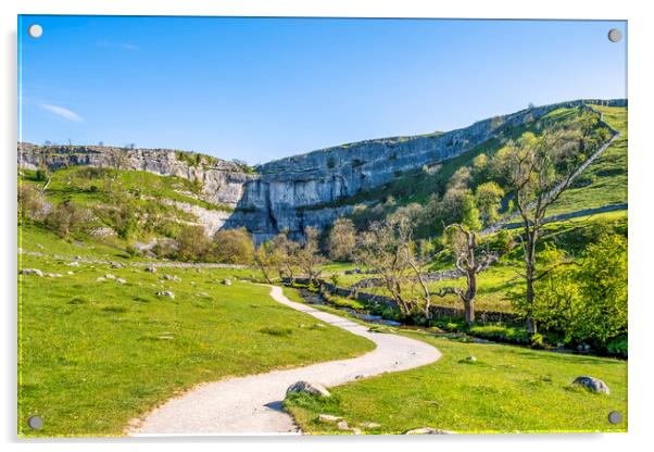 Malham Cove and Malham beck: Yorkshire Dales Acrylic by Tim Hill