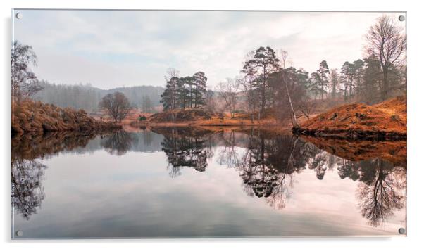 Tarn Hows Lake District Acrylic by Tim Hill