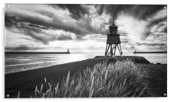 Herd Groyne Black and White Acrylic by Tim Hill