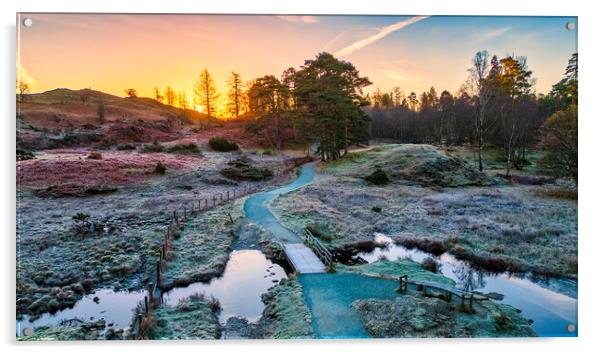 Into the Sunrise: Tarn Hows Lake District Acrylic by Tim Hill