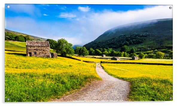 Muker Wildflower Meadows Yorkshire Acrylic by Tim Hill