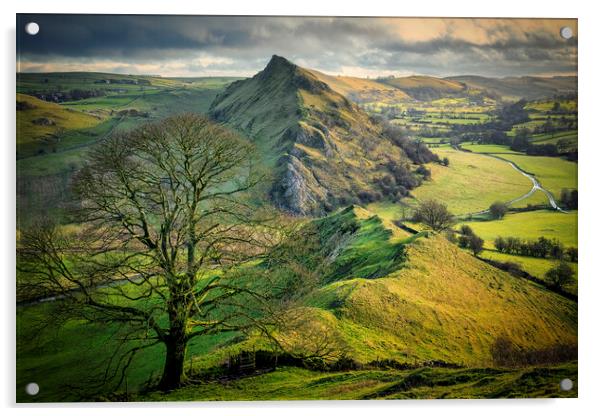 Chrome Hill Lone Tree ~ Derbyshire Peak District Acrylic by Tim Hill