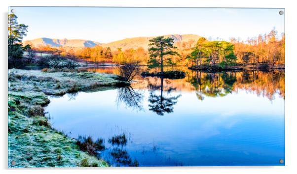 Tarn Hows Landscape: Lake District National Park Acrylic by Tim Hill