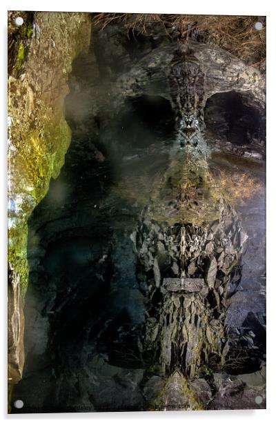 Hodge Close skull Acrylic by Peter Bardsley