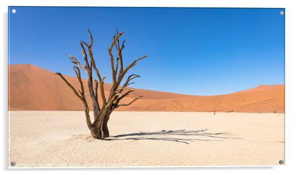 Dead tree at Deadvlei. Acrylic by Gunter Nuyts