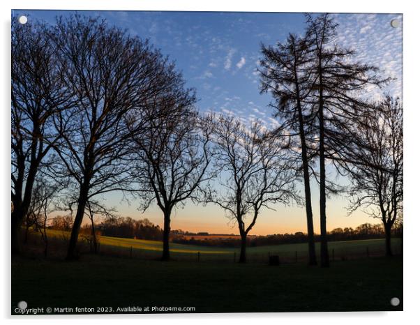 Winter sunset over fields Acrylic by Martin fenton