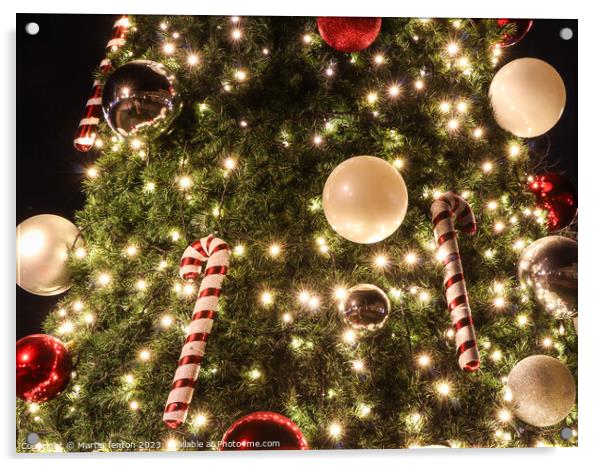 Splendid Christmas tree Acrylic by Martin fenton