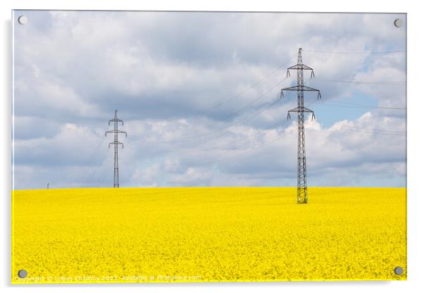 High voltage power lines above rapeseed field (Brassica napus). Plant for vegetable oil, green energy and biodiesel. Acrylic by Lubos Chlubny