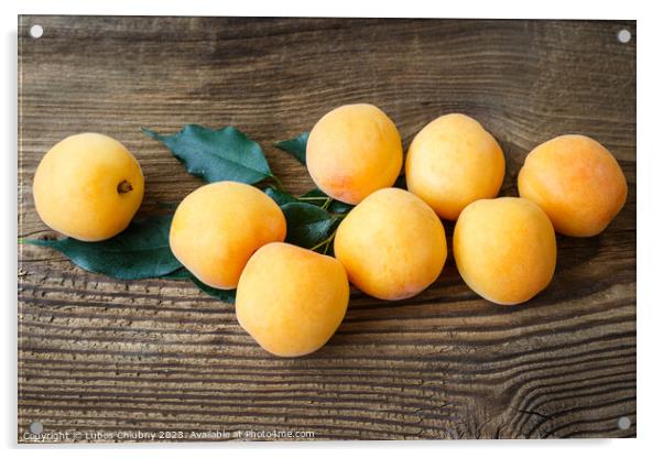 Apricots with leaves on the old wooden table Acrylic by Lubos Chlubny