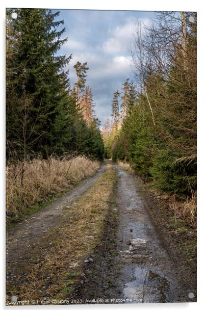 Walking path in forest. Forest road. Acrylic by Lubos Chlubny