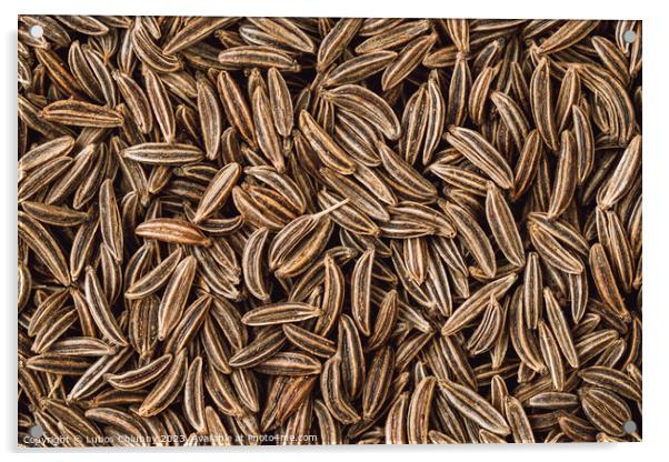 Cumin seed aromatic spice, food background Acrylic by Lubos Chlubny