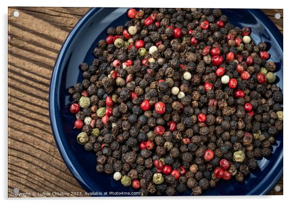 Multicolored pepper corns, mix of colorful grains Acrylic by Lubos Chlubny