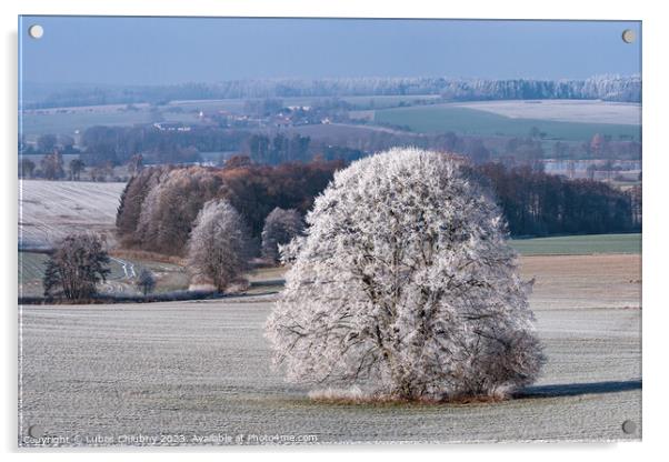 Winter landscape with frozen trees in field and blue sky Acrylic by Lubos Chlubny