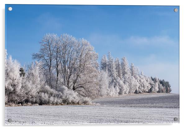 Winter landscape with trees covered with hoarfrost Acrylic by Lubos Chlubny