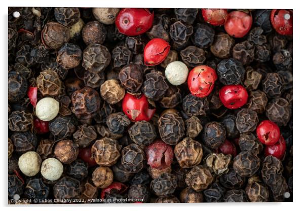Mixed peppercorns background. Different colored peppercorns Acrylic by Lubos Chlubny