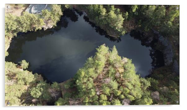 Lake surrounded by trees. Beautiful landscape in aerial drone shot. Acrylic by Irena Chlubna