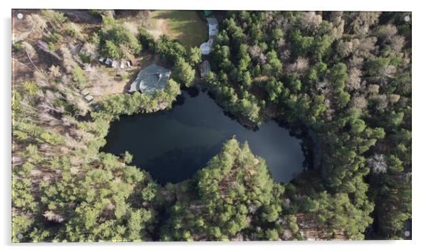 Lake surrounded by trees. Beautiful landscape in aerial drone shot. Acrylic by Irena Chlubna