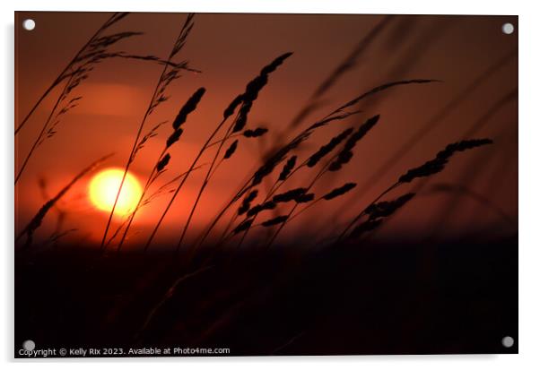 Sunset fields Acrylic by Kelly Rix