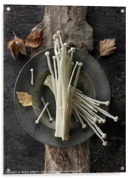 Photo of the facinating Straw like Enoki Mushrooms  Acrylic by Paul E Williams