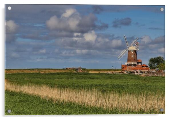 Cley windmill in norfolk basking in the afternoon sun  Acrylic by Tony lopez