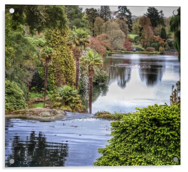 Scenic Views across the lake at Sheffield Park sussex  Acrylic by Tony lopez