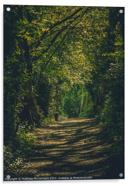 Woodland Path Acrylic by Matthew McCormack
