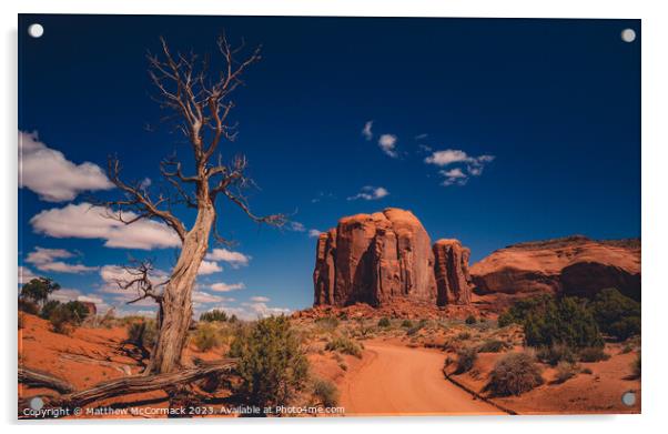 Desert Track road Acrylic by Matthew McCormack