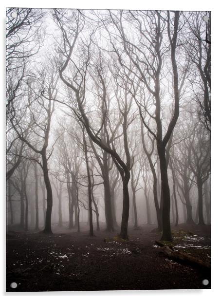 Ghost Tree in Fog Acrylic by James Elkington