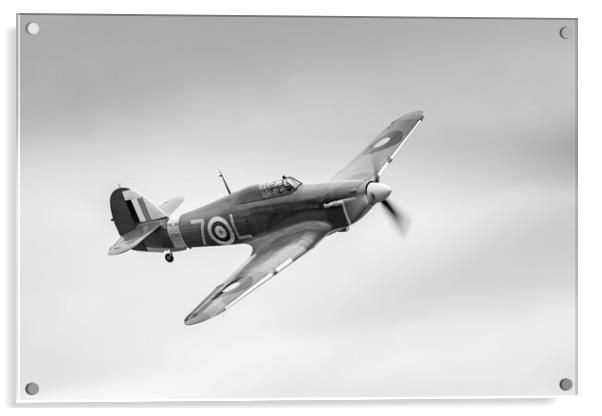 Hawker Sea Hurricane Acrylic by Kevin Howchin