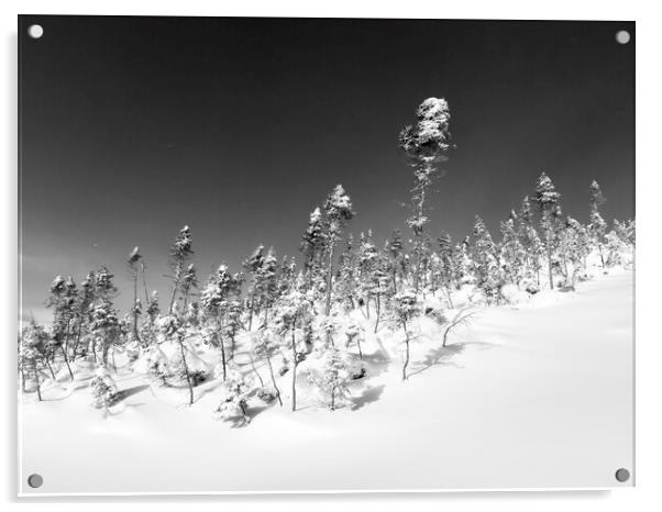 Winter Wonderland  Acrylic by Kevin Howchin