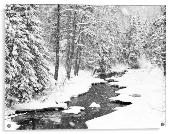 Winter Woodland Acrylic by Kevin Howchin