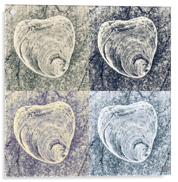 Seashell on Rock x 4 Acrylic by Kevin Howchin