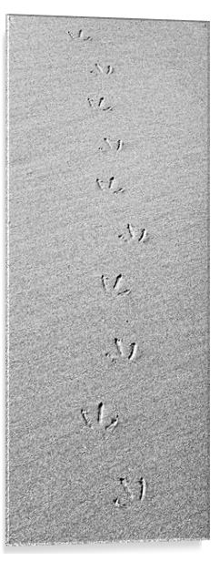 Footprints in the Sand Acrylic by Kevin Howchin
