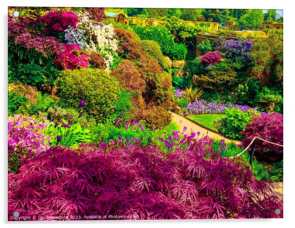 Hever Castle Gardens Acrylic by Ian Donaldson