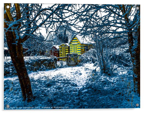   Winter Orchard Acrylic by Ian Donaldson