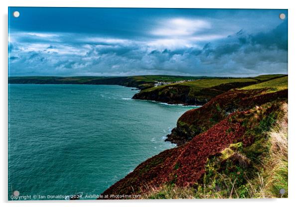 Cornish View Acrylic by Ian Donaldson